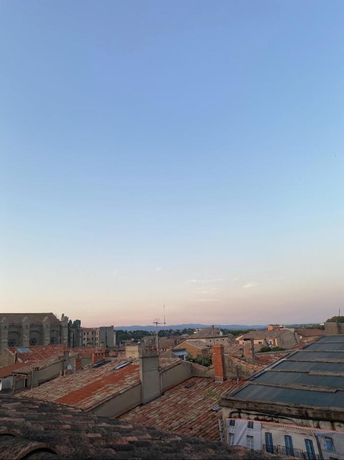 Rooftop Standing Place Carnot Carcassonne Ngoại thất bức ảnh